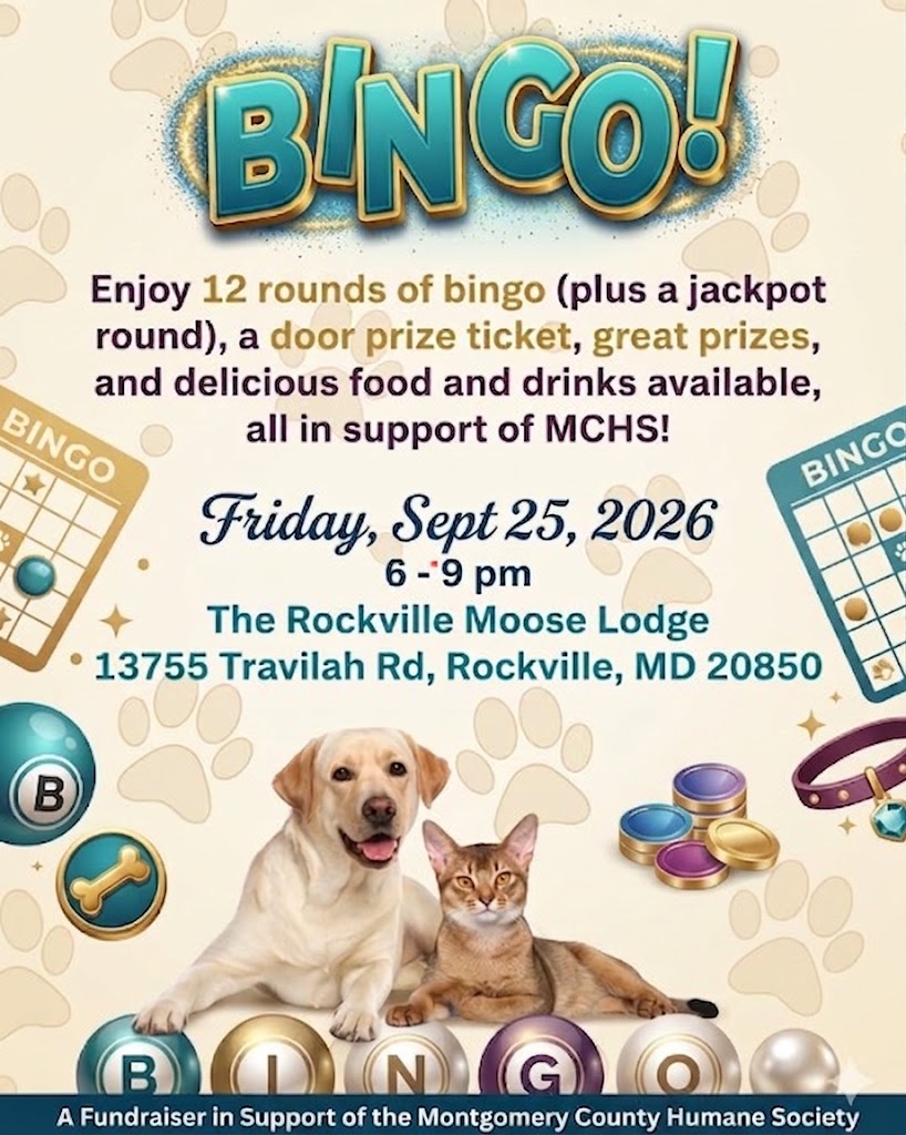Humane Society BINGO