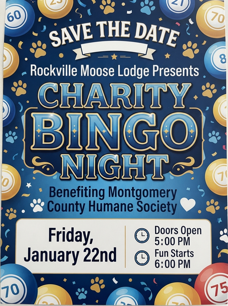 BINGO Rockville